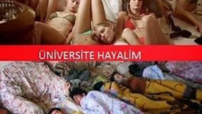 Üniversitede Arkadaşlık İlişkileri