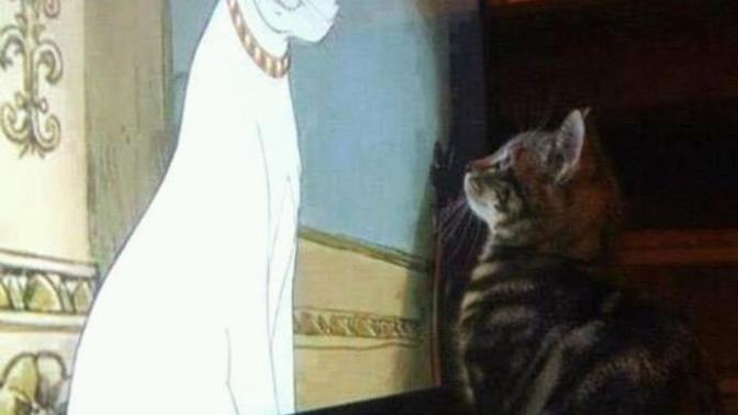 İlişkilerde Görsellik Önemli midir? Dışını Önemsemeden İçine Aşık Olabilir misin?