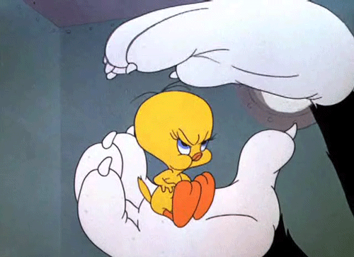 sylvester kedi tweety