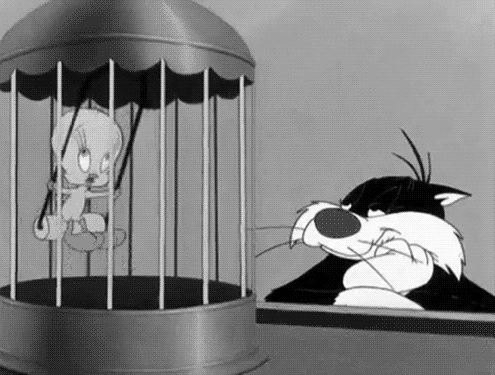 sylvester kedi hayatı
