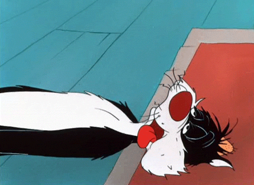tweety sylvester kedi