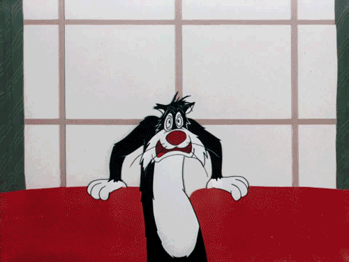sylvester kedi filmi