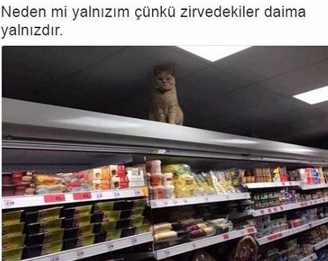 Yalnızlığımıza Uydurduğumuz Kendimizi Avutma Konulu Kılıflar
