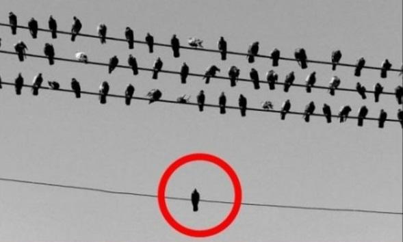 Yalnızlığımıza Uydurduğumuz Kendimizi Avutma Konulu Kılıflar