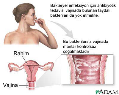 Islak Mayo İle Oturmanın Zararları!