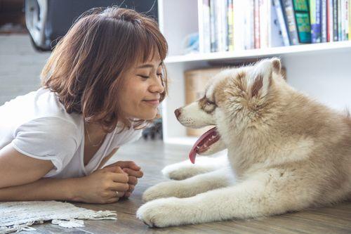 Kedi Ve Köpek Arasındaki Davranış Farklılıkları!