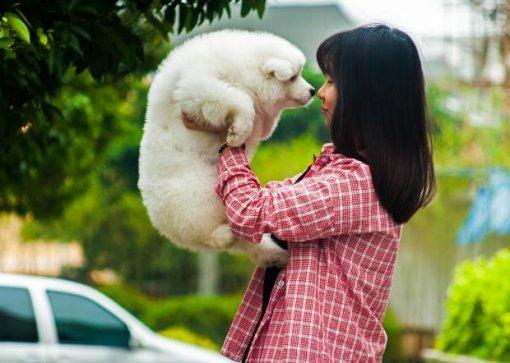 Kedi Ve Köpek Arasındaki Davranış Farklılıkları!