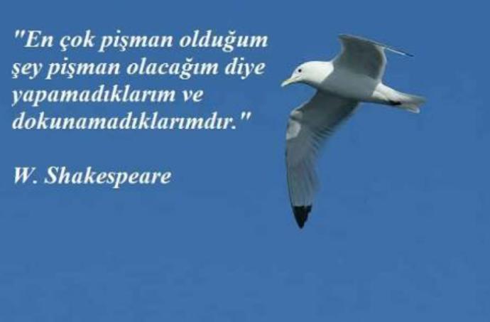 Bu intihar sorularını çok gördüğüm ve vazgeçmelerini sağlayacağını düşündüğüm için yazıyorum.