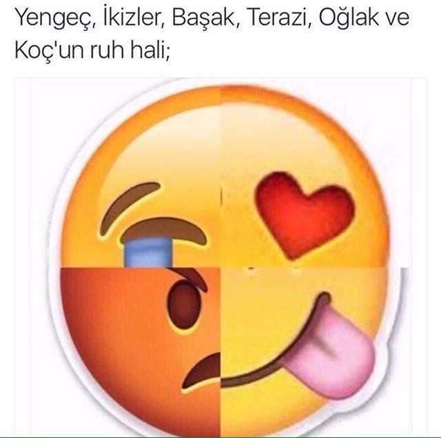 Aranan Eştir Yengeç Burcu!