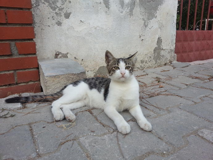 Söyleşiden Bazı Kesitler