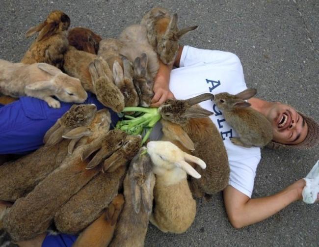 Japonya'nın Tavşan Cenneti: Okunoshima