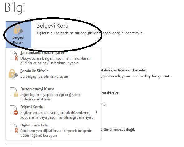 Office Dosyalarınıza Şifre Koyun!
