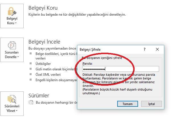 Office Dosyalarınıza Şifre Koyun!