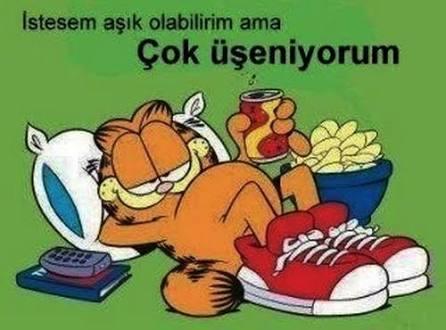 Mesajlarına Cevap Gelmiyorsa Belki de Sebep Budur