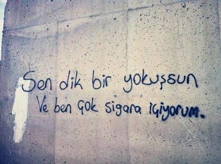 Mizahta Çığır Açan Duvar Yazıları