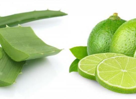 Güzel Ve Sağlıklı Saçların Gizli Sırrı: Aloe Vera!