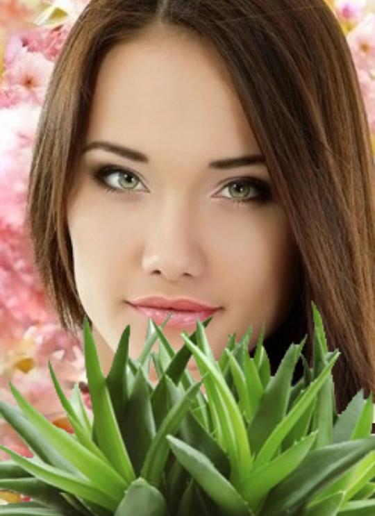 Güzel Ve Sağlıklı Saçların Gizli Sırrı: Aloe Vera!