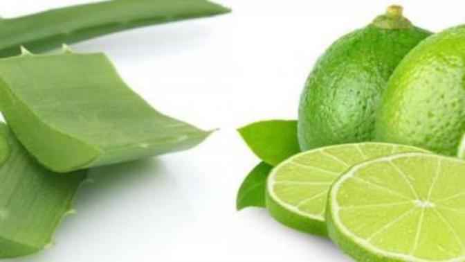 Güzel Ve Sağlıklı Saçların Gizli Sırrı: Aloe Vera!