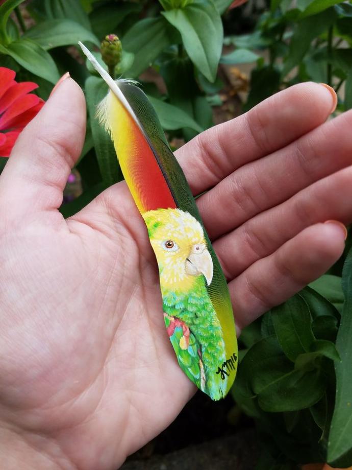 Kuş Tüyüne Düşen Sanat Eserleri