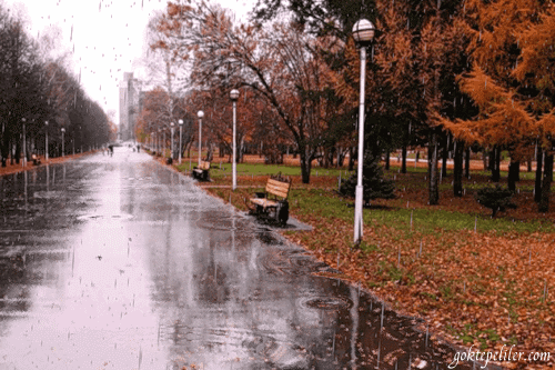 🍂🍁 Hüzün Dolu Mevsim ''SONBAHAR'' 🍁🍂