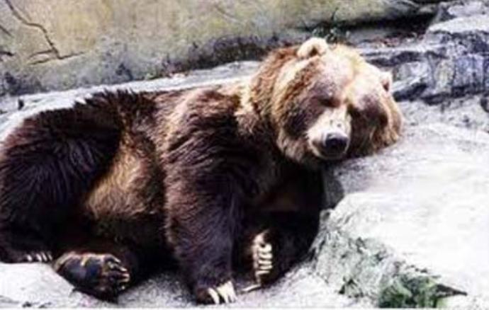 Eski Sevgiliyi Unutmanin 5 Süper Yolu