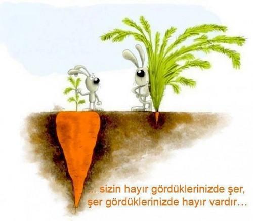 Aşk ve Ayrılık Dertten Sayılmamalı!