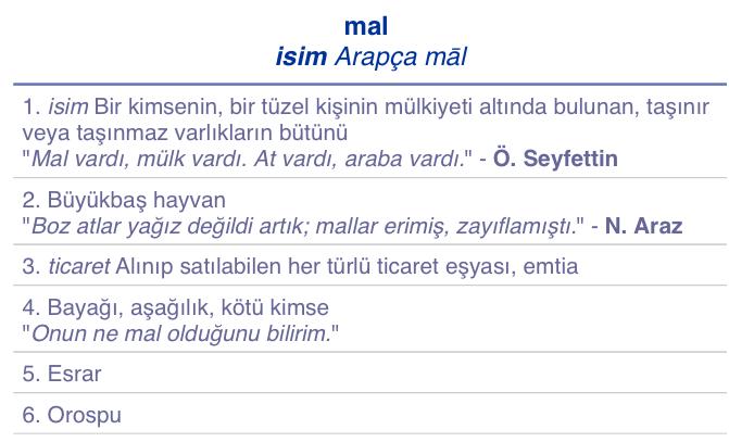 TDK'nın Trajikomik Hataları