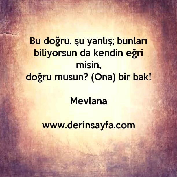 Öğretmenine Aşık Olamazsın Çünkü O Yasak Meyve!