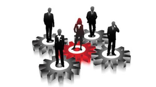 Bir Şirket Nasıl Yönetilir?