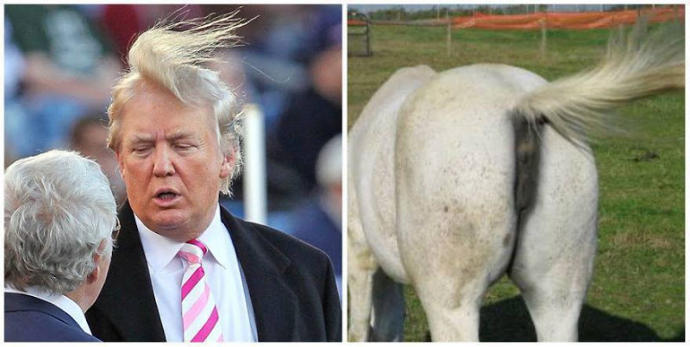 Amerika'nın Yeni Başkanı Donald Trump'a Benzeyen Şeyler
