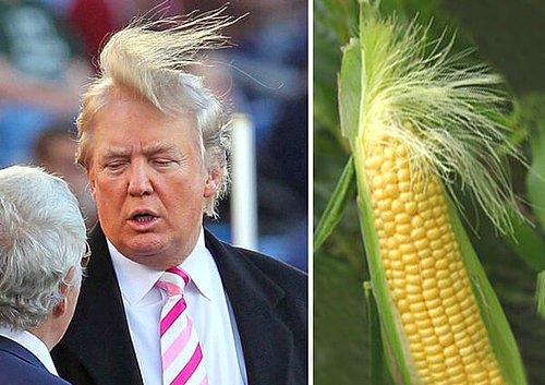 Amerika'nın Yeni Başkanı Donald Trump'a Benzeyen Şeyler