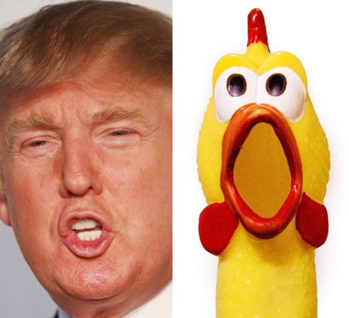 Amerika'nın Yeni Başkanı Donald Trump'a Benzeyen Şeyler
