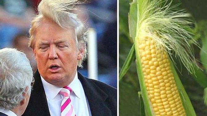 Amerika'nın Yeni Başkanı Donald Trump'a Benzeyen Şeyler