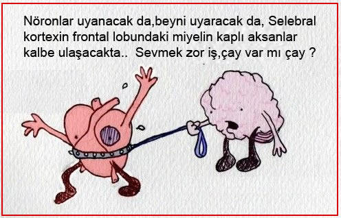 Bazı İnsanlar Neden Sevgili Yapmayı Gereksiz Görür? Sorusuna Verilebilecek 8 Farklı Cevap