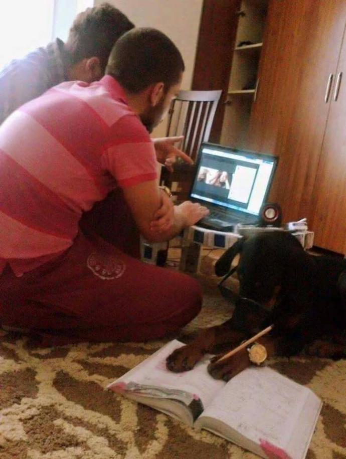 Kasım'da Vizelere Çalışmak Bir Başkadır