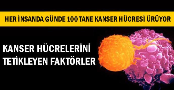 Kanserle Mücadelede Yapmanız Gerekenler 