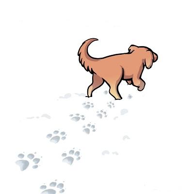 Köpek Sahibi Olmak İçin Altı Muhteşem Neden