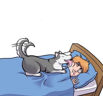 Köpek Sahibi Olmak İçin Altı Muhteşem Neden