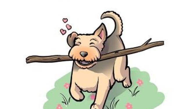 Köpek Sahibi Olmak İçin Altı Muhteşem Neden