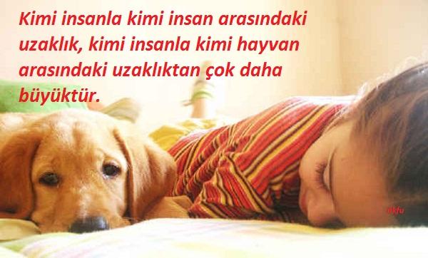 Hayvanıma Dokunma!