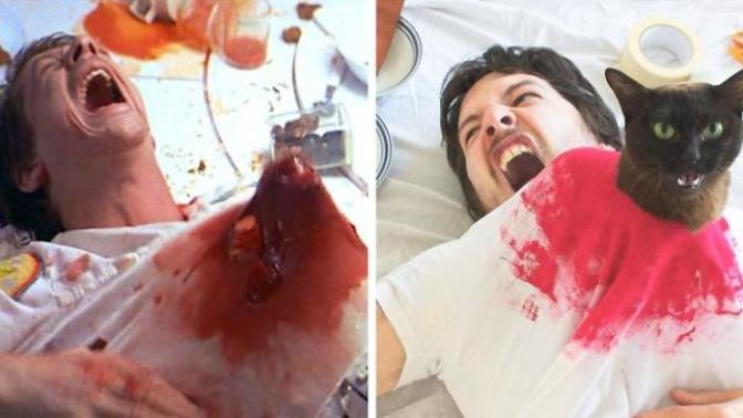 Filmleri Trollemeler: Başrolde Kedi, Figüran ise Sahibi