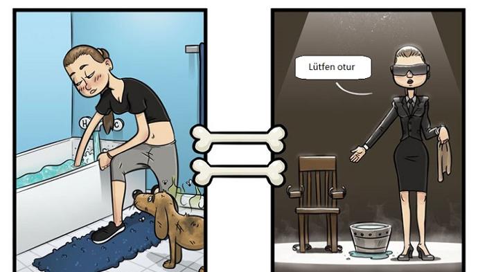 Köpekler Dünyayı Nasıl Sanıyor?