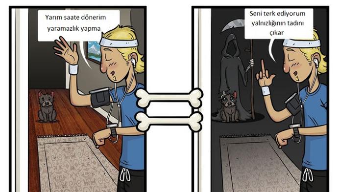 Köpekler Dünyayı Nasıl Sanıyor