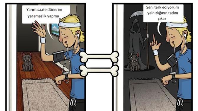 Köpekler Dünyayı Nasıl Sanıyor?