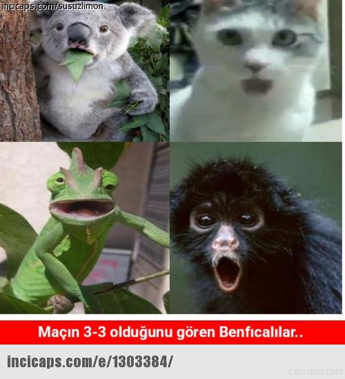 Beşiktaş-Benfica Maçından Sonra Capsler