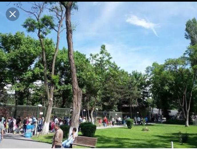 Okul Gezilerinden Soğutan Anım