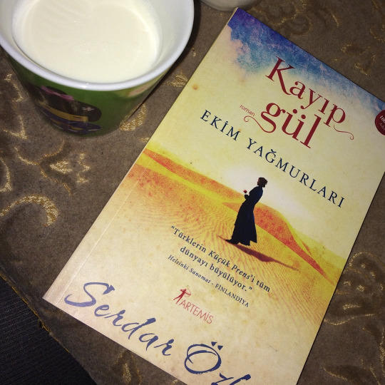 Etkileyici Bir Kitap: Kayıp Gül, Ekim Yağmurları