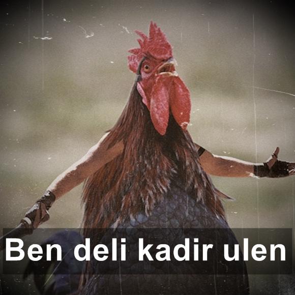 Kuşlara El Kol Takılsa Birde Üstüne Konuşturulursa Nasıl Olur!