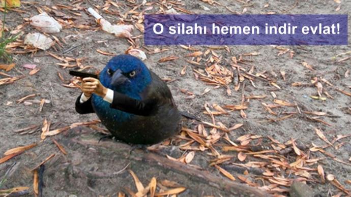 Kuşlara El Kol Takılsa Birde Üstüne Konuşturulursa Nasıl Olur!