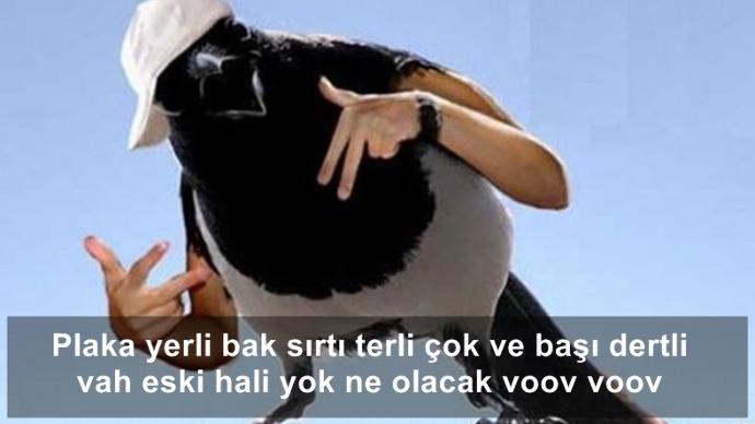 Kuşlara El Kol Takılsa Birde Üstüne Konuşturulursa Nasıl Olur!